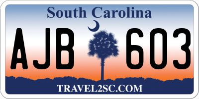 SC license plate AJB603