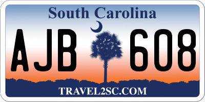 SC license plate AJB608