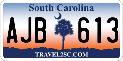 SC license plate AJB613