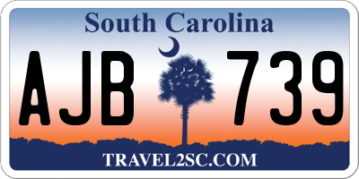 SC license plate AJB739