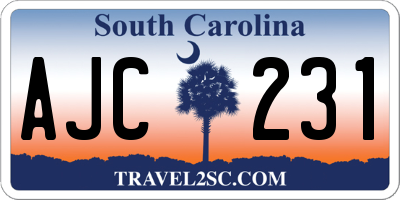 SC license plate AJC231