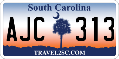 SC license plate AJC313