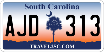 SC license plate AJD313