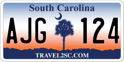 SC license plate AJG124