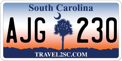 SC license plate AJG230