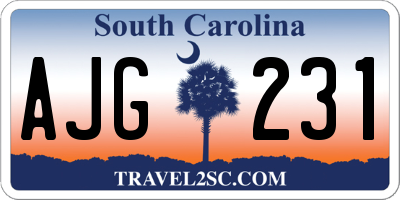SC license plate AJG231