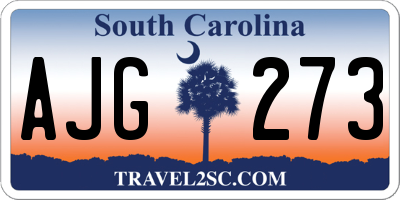 SC license plate AJG273
