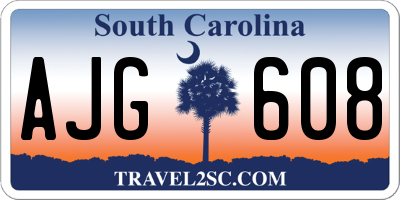 SC license plate AJG608