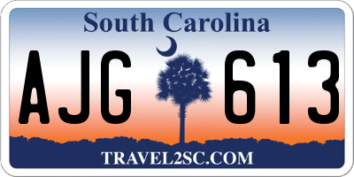 SC license plate AJG613