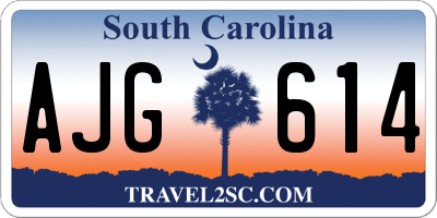 SC license plate AJG614
