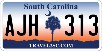 SC license plate AJH313