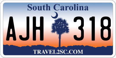 SC license plate AJH318