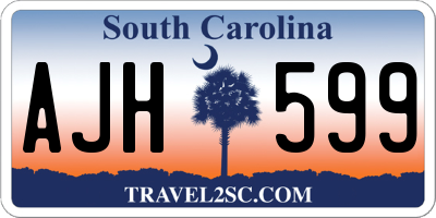 SC license plate AJH599