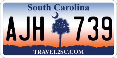 SC license plate AJH739