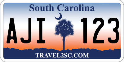 SC license plate AJI123