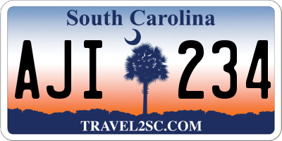 SC license plate AJI234