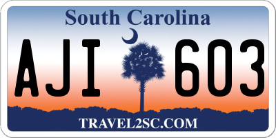 SC license plate AJI603