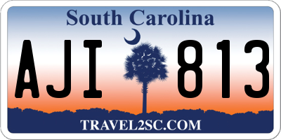 SC license plate AJI813