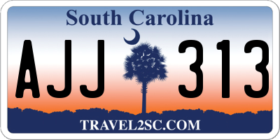 SC license plate AJJ313