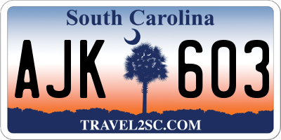 SC license plate AJK603