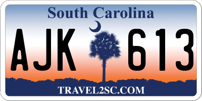 SC license plate AJK613