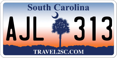 SC license plate AJL313