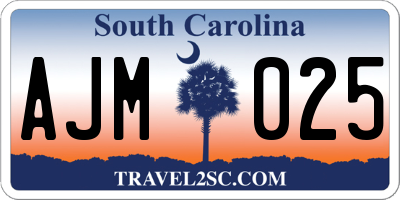 SC license plate AJM025