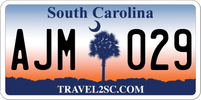SC license plate AJM029