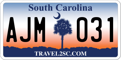 SC license plate AJM031