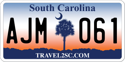 SC license plate AJM061