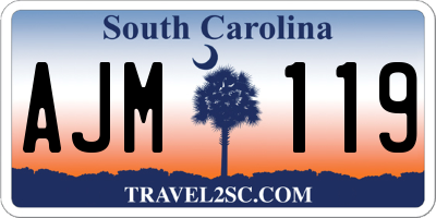 SC license plate AJM119