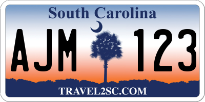 SC license plate AJM123