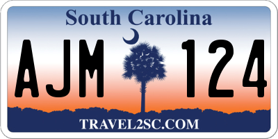 SC license plate AJM124
