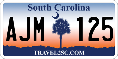 SC license plate AJM125