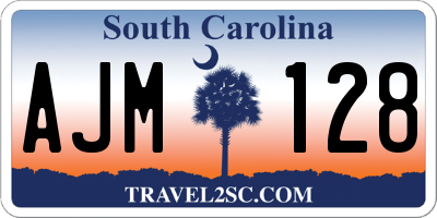 SC license plate AJM128