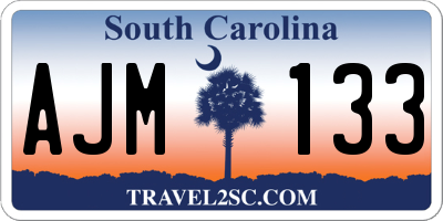 SC license plate AJM133