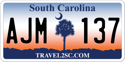 SC license plate AJM137