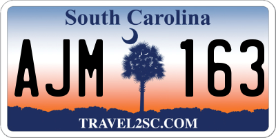 SC license plate AJM163