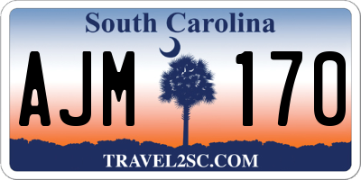 SC license plate AJM170