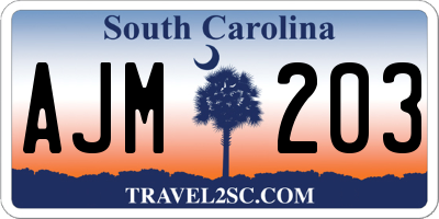 SC license plate AJM203