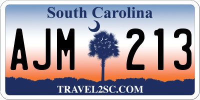 SC license plate AJM213