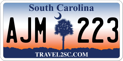 SC license plate AJM223