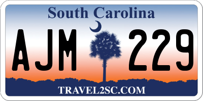 SC license plate AJM229