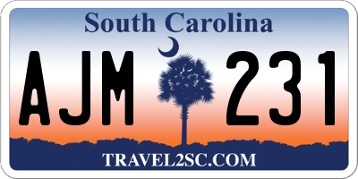 SC license plate AJM231