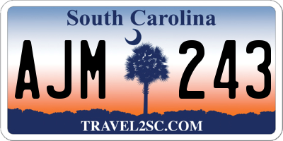 SC license plate AJM243