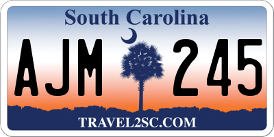 SC license plate AJM245