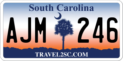 SC license plate AJM246