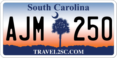 SC license plate AJM250