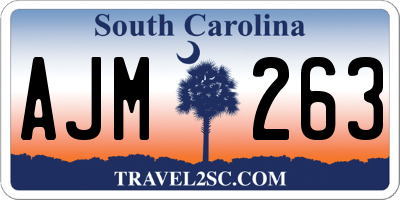 SC license plate AJM263