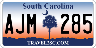 SC license plate AJM285